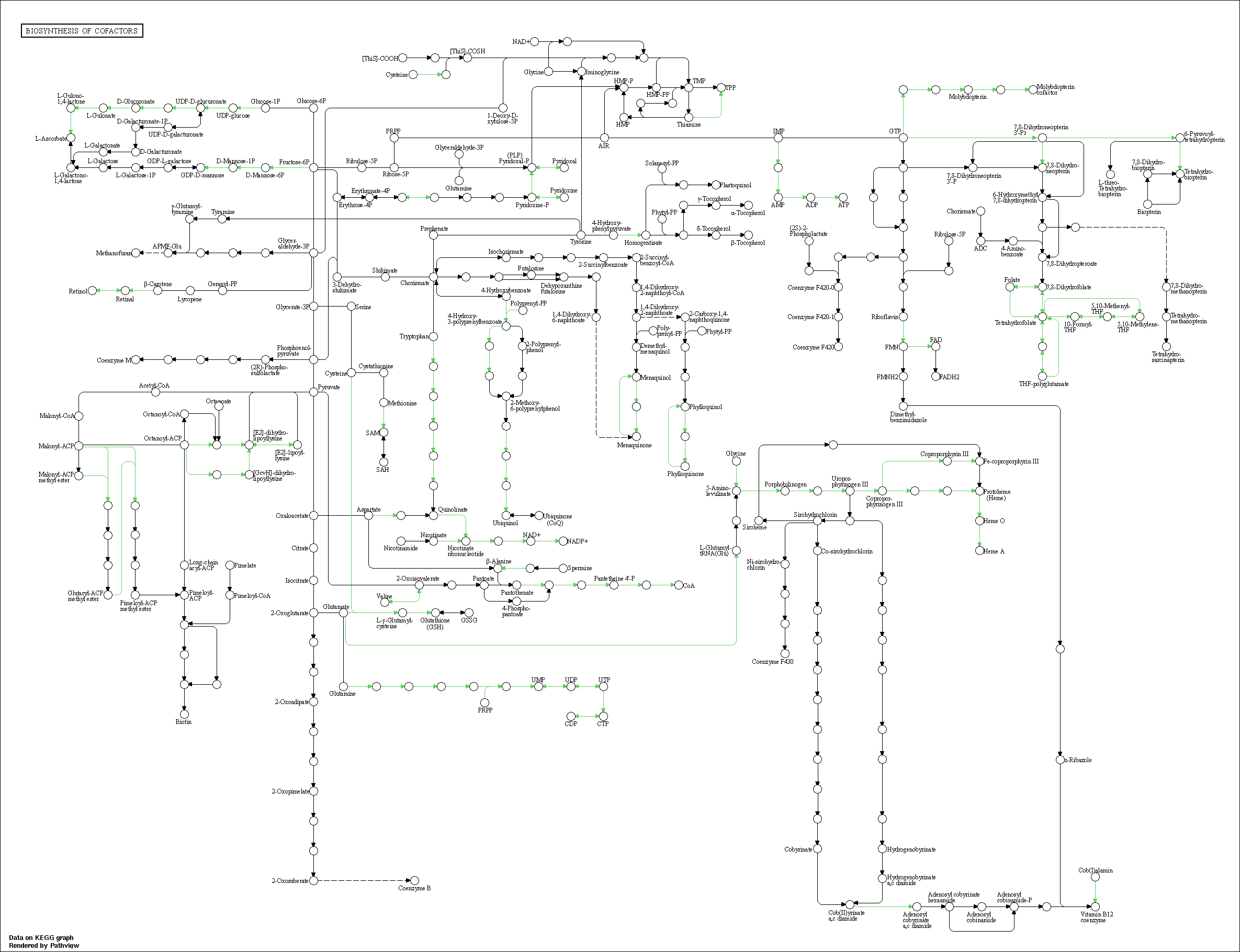 Index of /cloudir/reports/transcriptome/08.Enrich/GSEA/KEGG/Category1 ...