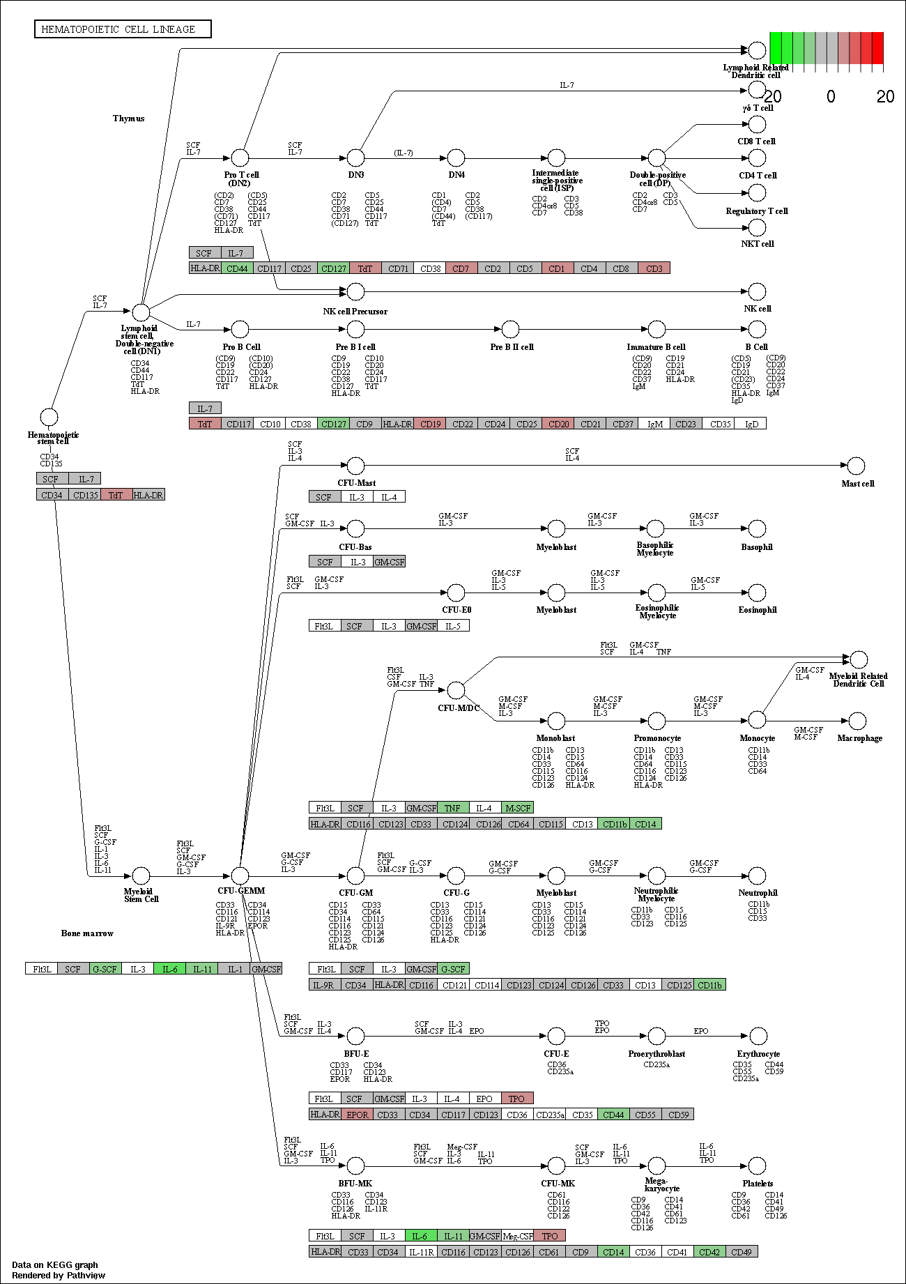 Index of /cloudir/reports/transcriptome/08.Enrich/ORA/KEGG/Category1 ...